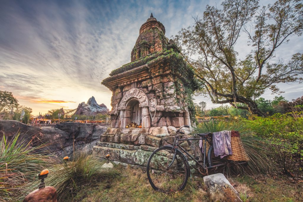 Disney's Animal Kingdom