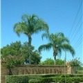 Lindfields, Kissimmee, Orlando. Lindfields, Kissimmee, Orlando