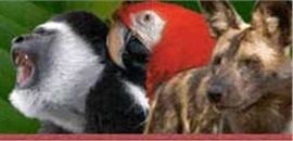 Naples Zoo. Naples Zoo