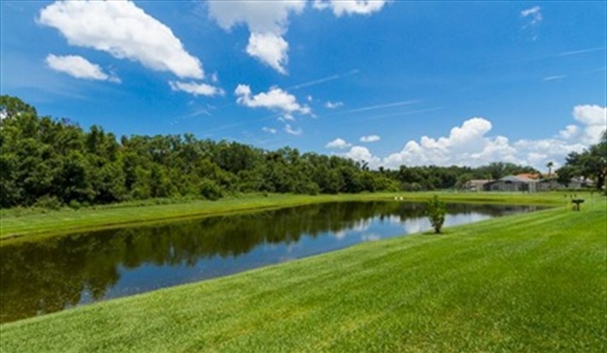 A woodland fringed lake with a dock, boardwalk and nature trail . Roughtallys in Lake Berkley Resort, Kissimmee, Orlando