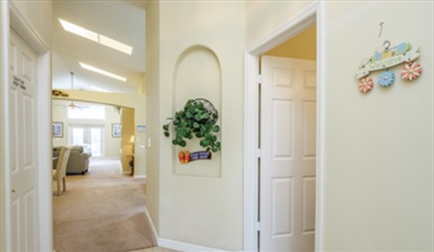 Villa Sandhill Crane Florida Villa in Orange Tree, Clermont, Orlando