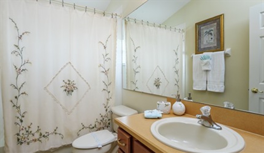 Villa Sandhill Crane Florida Villa in Orange Tree, Clermont, Orlando