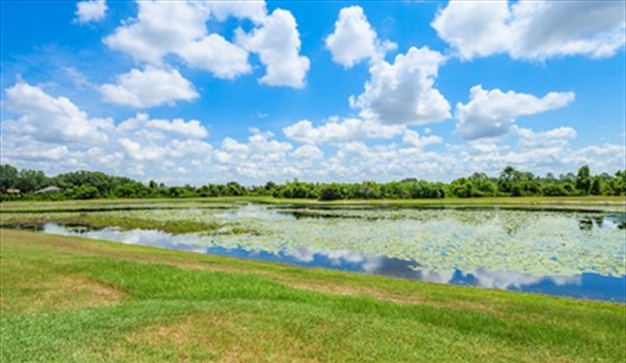 Villa Sandhill Crane Florida Villa in Orange Tree, Clermont, Orlando