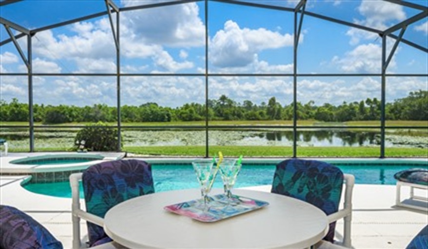 Villa Sandhill Crane Florida Villa in Orange Tree, Clermont, Orlando