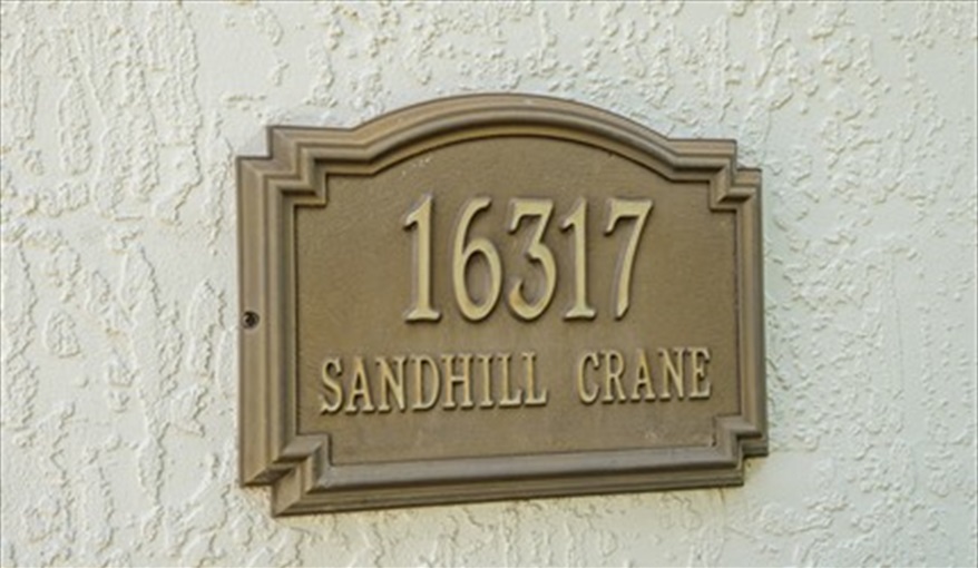 Villa Sandhill Crane Florida Villa in Orange Tree, Clermont, Orlando