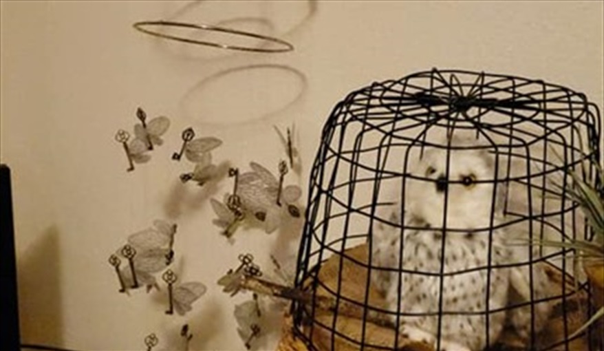 Please remember to feed Hedwig!. *Villamagic* in The Sanctuary At Westhaven, Davenport, Orlando