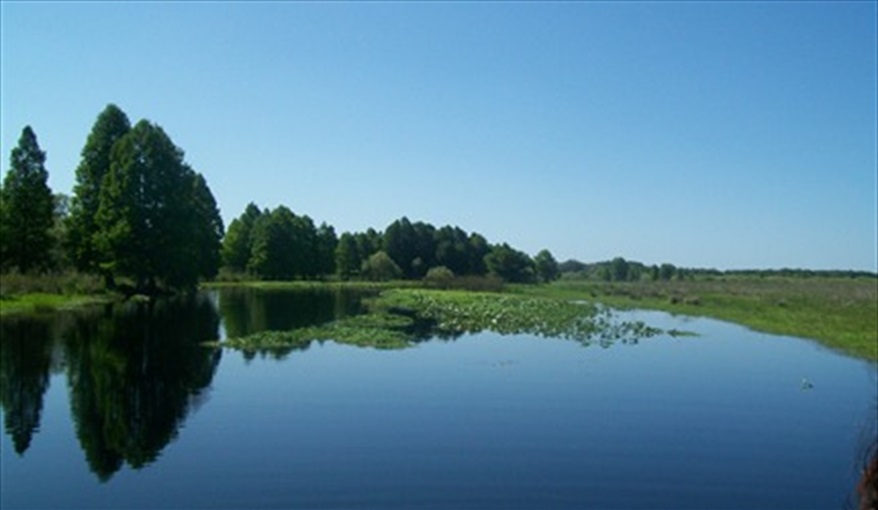 Natural Florida. Tower Lake Vista - unoverlooked pool villa in Calabay Parc at Tower Lake, Haines City, Orlando