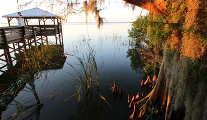 Nearby Circle B Bar Nature Reserve. Tower Lake Vista - unoverlooked pool villa in Calabay Parc at Tower Lake, Haines City, Orlando