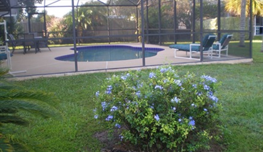 Private South Facing Pool. FLORIDA HOME in Pine Chase Estates, St Cloud, Gulf Coast
