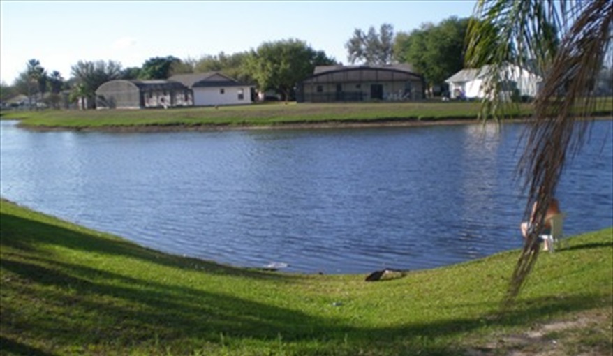 View from our back garden and access to lake. FLORIDA HOME in Pine Chase Estates, St Cloud, Gulf Coast