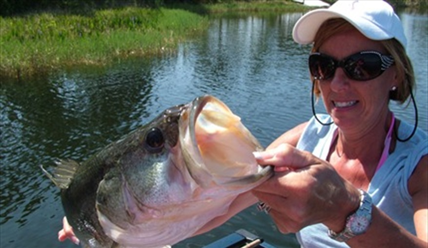 Try Fishing on the lake - rods supplied. My Florida House  in Esprit, Davenport, Orlando