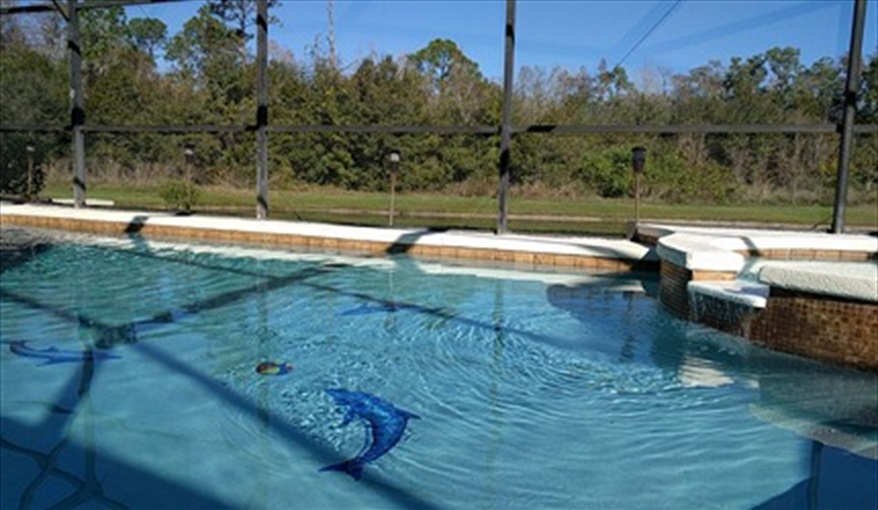 new pool . Scarlets villa in Lake Berkley Resort, Kissimmee, Orlando