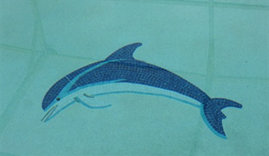 Come and enjoy swimming with your very own Dolphin . . .. Westridge Palms----Free Wi-Fi, Free calls to the UK, Gas BBQ,Pool table ,Table tennis,  in Westridge, Davenport, Orlando