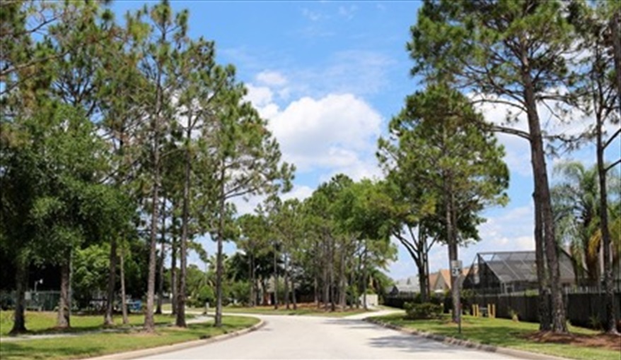 Tree lined entrance at Indian Point. KissimmeeDisneyVilla in Indian Point, Kissimmee, Orlando