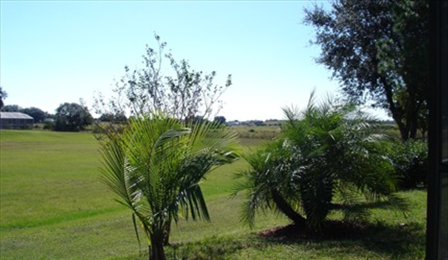Pool View. Sunshine Villa in Loma Linda, Davenport, Orlando