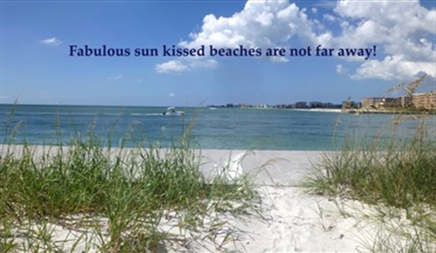 A little over an hour to beaches like this. Doral Woods Secluded Florida Villa Updated June 2023 in Doral Woods, Kissimmee, Orlando