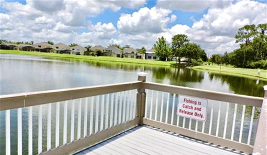 Fishing from the pier on the large lake. Ref 17. Lake Berkley. Superb Villa , own pool. BBQ. Nr Disney. Gated resort in Lake Berkley Resort, Kissimmee, Orlando