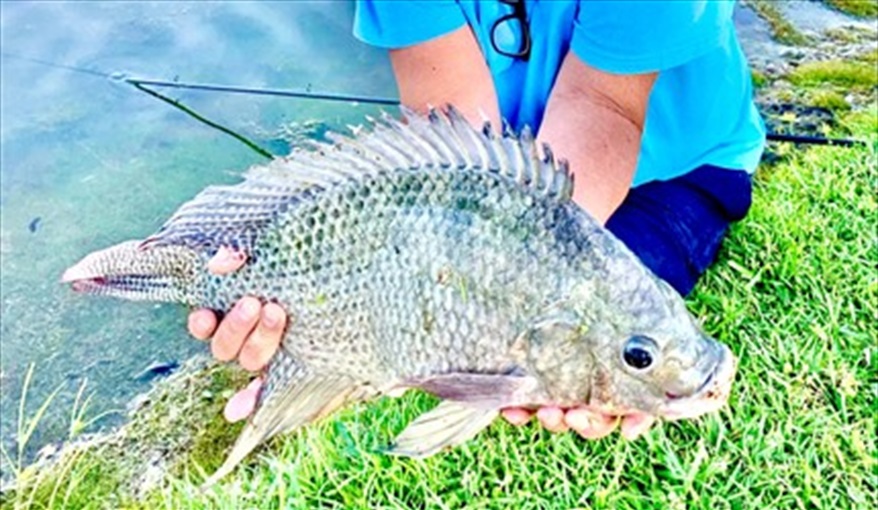 Another day fishing at Lake Berkley. Ref 17. Lake Berkley. Superb Villa , own pool. BBQ. Nr Disney. Gated resort in Lake Berkley Resort, Kissimmee, Orlando