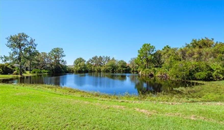 view from deck. Heron's Rest in Sunridge Woods, Davenport, Orlando