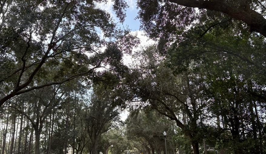 Villa Highlands Retreat - A stunning luxury home on a golf development  in Highlands Reserve, Davenport, Orlando