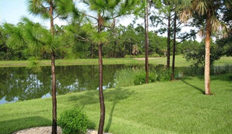 View across the lake. MINSLAKE in Rotonda West, Rotonda West, Gulf Coast