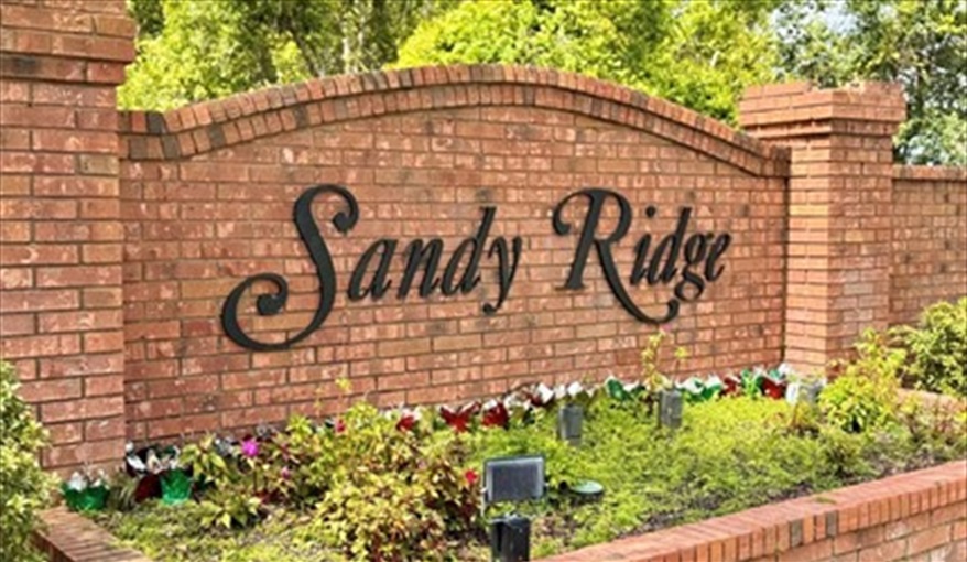 Sandy Ridge. Pluto's Palace Florida Villa in Sandy Ridge, Davenport, Orlando