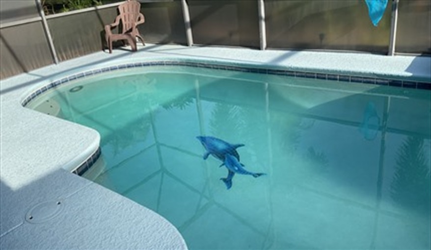 South Facing Pool and Deck. Floridavillarosso in West Stonebridge, Davenport, Orlando