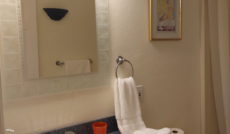 Main Bathroom, bath, stand up shower, toilet, washbasin.. Island Villa with 33 Foot Infinity Pool, Dock, Dolphin Visits in Fort Myers Beach, Fort Myers, Gulf Coast